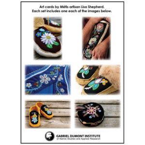 Lisa Shepherd Art Cards (Set of 6)